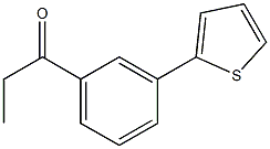 1-(3-thien-2-ylphenyl)propan-1-one Structure