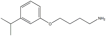 1-(4-aminobutoxy)-3-(propan-2-yl)benzene Structure