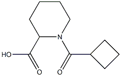 1-(cyclobutylcarbonyl)piperidine-2-carboxylic acid Structure