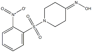 1-[(2-nitrophenyl)sulfonyl]piperidin-4-one oxime 구조식 이미지