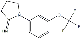 1-[3-(trifluoromethoxy)phenyl]pyrrolidin-2-imine Structure