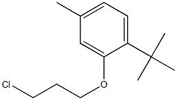 1-tert-butyl-2-(3-chloropropoxy)-4-methylbenzene 구조식 이미지