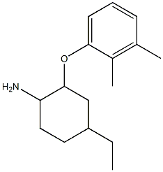 2-(2,3-dimethylphenoxy)-4-ethylcyclohexan-1-amine Structure