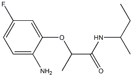 2-(2-amino-5-fluorophenoxy)-N-(butan-2-yl)propanamide 구조식 이미지