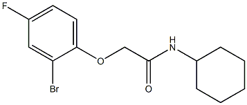 2-(2-bromo-4-fluorophenoxy)-N-cyclohexylacetamide 구조식 이미지