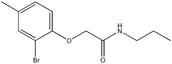 2-(2-bromo-4-methylphenoxy)-N-propylacetamide 구조식 이미지