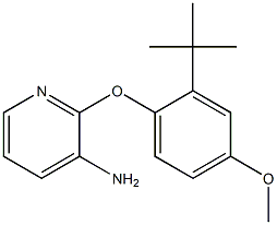 2-(2-tert-butyl-4-methoxyphenoxy)pyridin-3-amine 구조식 이미지