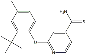 2-(2-tert-butyl-4-methylphenoxy)pyridine-4-carbothioamide 구조식 이미지