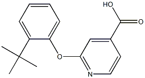 2-(2-tert-butylphenoxy)pyridine-4-carboxylic acid 구조식 이미지