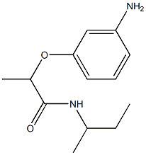 2-(3-aminophenoxy)-N-(butan-2-yl)propanamide Structure