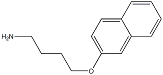 2-(4-aminobutoxy)naphthalene 구조식 이미지