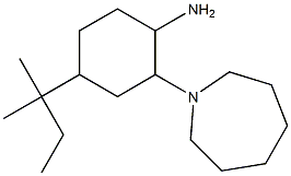 2-(azepan-1-yl)-4-(2-methylbutan-2-yl)cyclohexan-1-amine 구조식 이미지