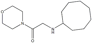 2-(cyclooctylamino)-1-(morpholin-4-yl)ethan-1-one 구조식 이미지