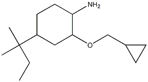 2-(cyclopropylmethoxy)-4-(2-methylbutan-2-yl)cyclohexan-1-amine 구조식 이미지