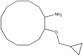 2-(cyclopropylmethoxy)cyclododecan-1-amine Structure