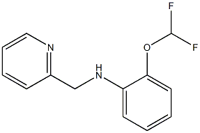 2-(difluoromethoxy)-N-(pyridin-2-ylmethyl)aniline 구조식 이미지