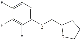 2,3,4-trifluoro-N-(oxolan-2-ylmethyl)aniline Structure