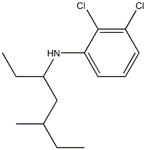 2,3-dichloro-N-(5-methylheptan-3-yl)aniline Structure