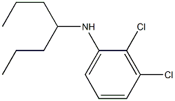 2,3-dichloro-N-(heptan-4-yl)aniline 구조식 이미지