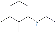 2,3-dimethyl-N-(propan-2-yl)cyclohexan-1-amine 구조식 이미지