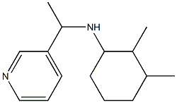 2,3-dimethyl-N-[1-(pyridin-3-yl)ethyl]cyclohexan-1-amine Structure