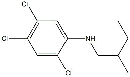 2,4,5-trichloro-N-(2-methylbutyl)aniline Structure