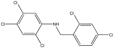 2,4,5-trichloro-N-[(2,4-dichlorophenyl)methyl]aniline Structure