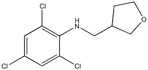 2,4,6-trichloro-N-(oxolan-3-ylmethyl)aniline 구조식 이미지