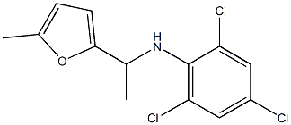 2,4,6-trichloro-N-[1-(5-methylfuran-2-yl)ethyl]aniline 구조식 이미지