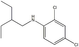 2,4-dichloro-N-(2-ethylbutyl)aniline Structure