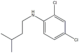 2,4-dichloro-N-(3-methylbutyl)aniline 구조식 이미지