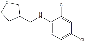 2,4-dichloro-N-(oxolan-3-ylmethyl)aniline 구조식 이미지