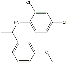 2,4-dichloro-N-[1-(3-methoxyphenyl)ethyl]aniline 구조식 이미지