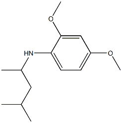 2,4-dimethoxy-N-(4-methylpentan-2-yl)aniline 구조식 이미지