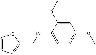 2,4-dimethoxy-N-(thiophen-2-ylmethyl)aniline 구조식 이미지