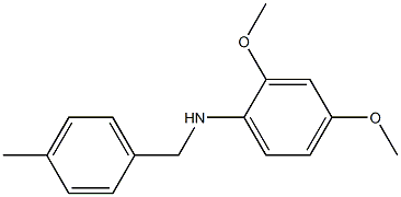 2,4-dimethoxy-N-[(4-methylphenyl)methyl]aniline 구조식 이미지