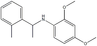 2,4-dimethoxy-N-[1-(2-methylphenyl)ethyl]aniline Structure