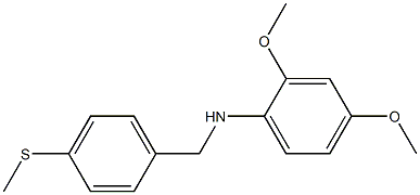 2,4-dimethoxy-N-{[4-(methylsulfanyl)phenyl]methyl}aniline 구조식 이미지