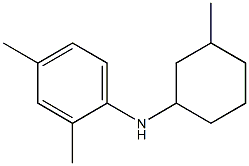 2,4-dimethyl-N-(3-methylcyclohexyl)aniline Structure