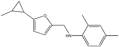 2,4-dimethyl-N-{[5-(2-methylcyclopropyl)furan-2-yl]methyl}aniline 구조식 이미지