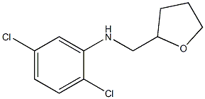 2,5-dichloro-N-(oxolan-2-ylmethyl)aniline Structure