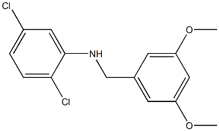 2,5-dichloro-N-[(3,5-dimethoxyphenyl)methyl]aniline Structure