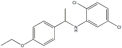 2,5-dichloro-N-[1-(4-ethoxyphenyl)ethyl]aniline Structure