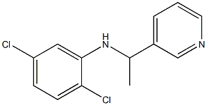 2,5-dichloro-N-[1-(pyridin-3-yl)ethyl]aniline Structure