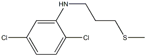 2,5-dichloro-N-[3-(methylsulfanyl)propyl]aniline Structure