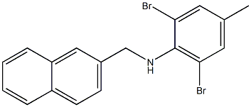 2,6-dibromo-4-methyl-N-(naphthalen-2-ylmethyl)aniline 구조식 이미지