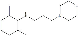 2,6-dimethyl-N-[3-(morpholin-4-yl)propyl]cyclohexan-1-amine 구조식 이미지
