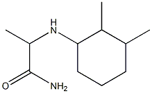 2-[(2,3-dimethylcyclohexyl)amino]propanamide 구조식 이미지