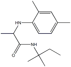 2-[(2,4-dimethylphenyl)amino]-N-(2-methylbutan-2-yl)propanamide Structure
