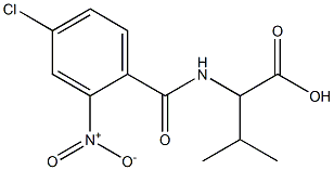 2-[(4-chloro-2-nitrophenyl)formamido]-3-methylbutanoic acid Structure